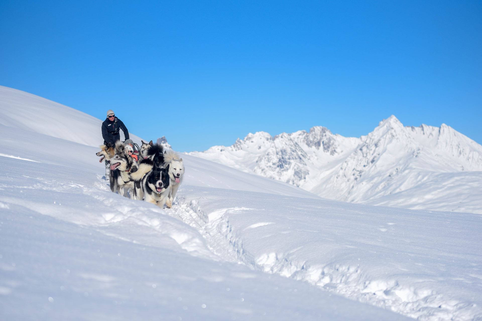 horstrace-chiens de traineaux Oxygène ski colelction